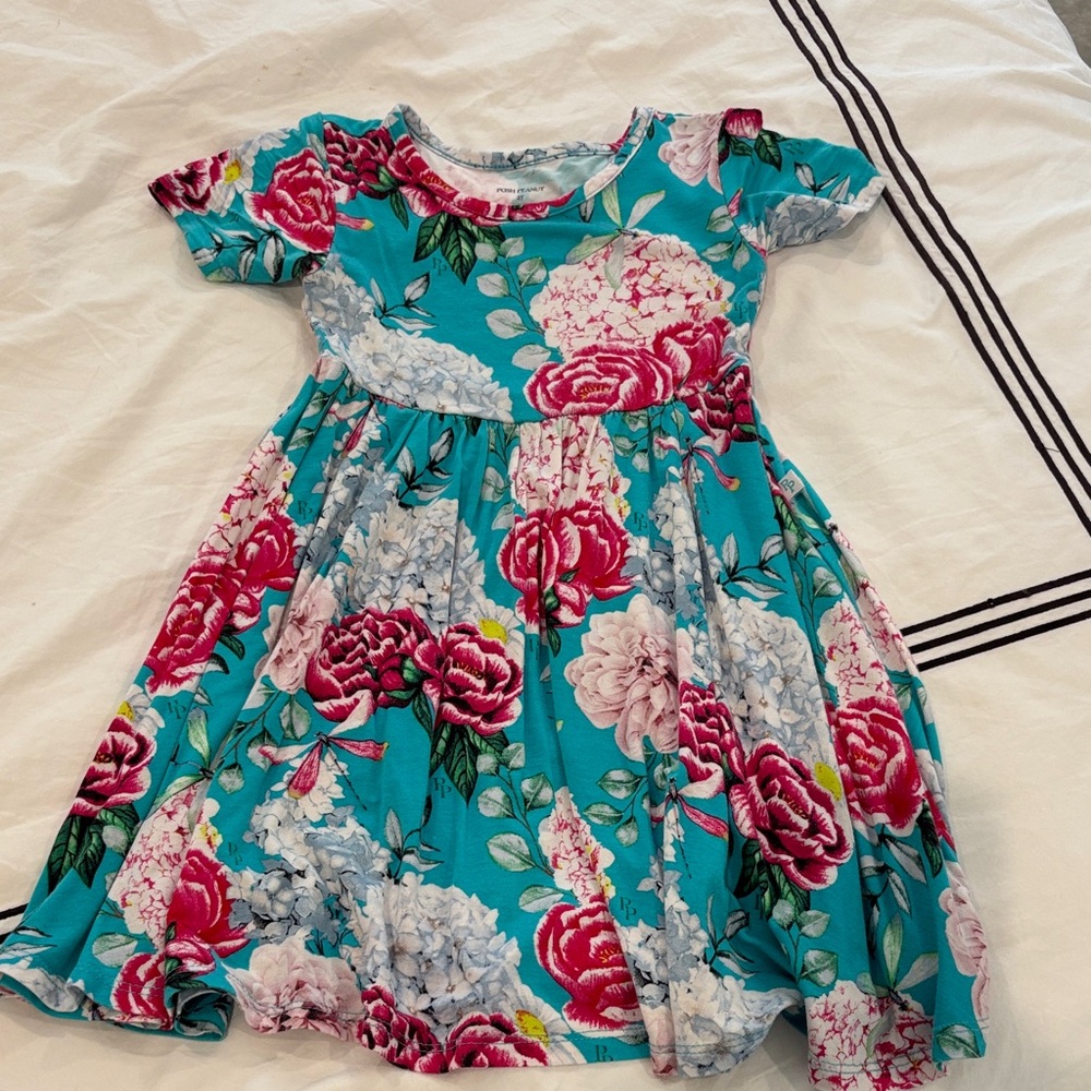 Posh Peanut Floral Dress in Teal and Pink